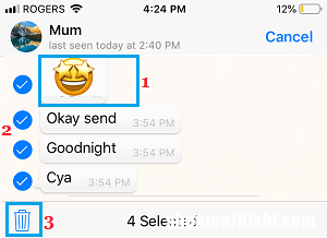 如何在苹果iPhone上删除WhatsApp消息
