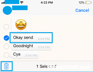 如何在苹果iPhone上删除WhatsApp消息