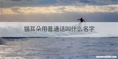 猫耳朵用普通话叫什么名字