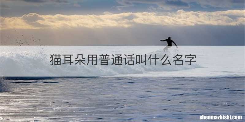 猫耳朵用普通话叫什么名字