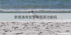 新朗逸有安全带预紧功能吗