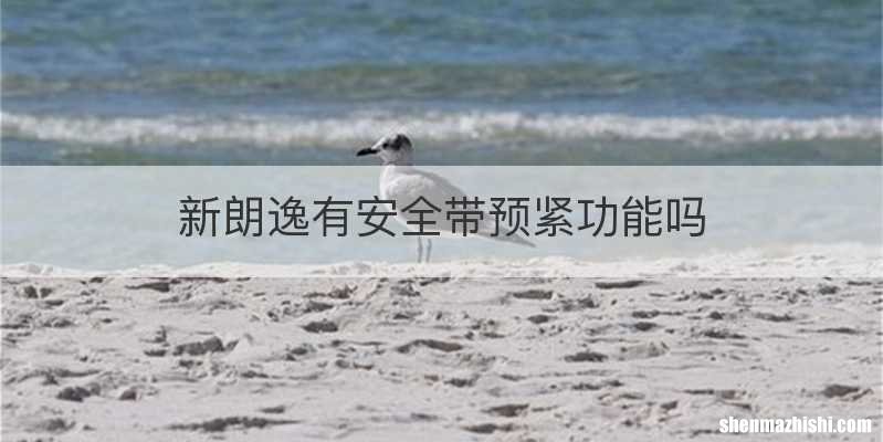 新朗逸有安全带预紧功能吗