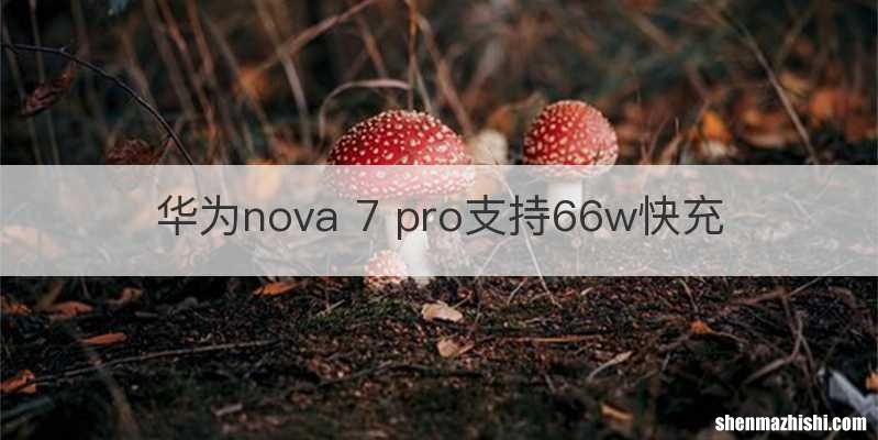 华为nova 7 pro支持66w快充