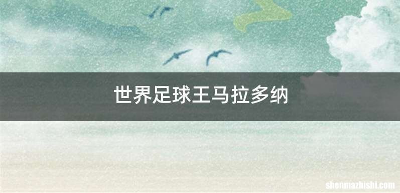 世界足球王马拉多纳