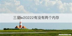 三星w20222有没有两个内存