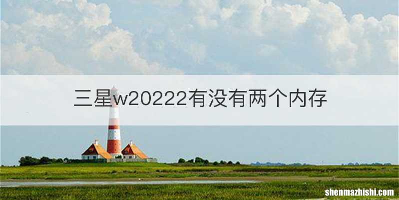 三星w20222有没有两个内存