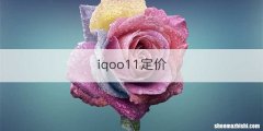 iqoo11定价