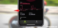 Apple Watch上的总卡路里：它们的含义以及查看位置