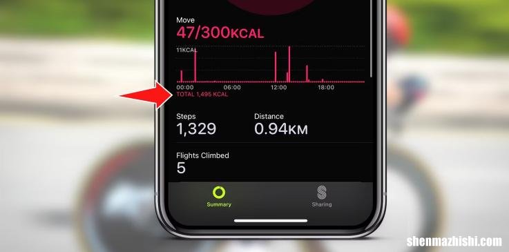 Apple Watch上的总卡路里：它们的含义以及查看位置