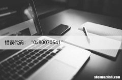 如何修复Windows更新错误代码：“0x80070541”？