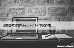 解决Windows11系统无法查看缩略图的问题？这是修复！