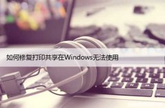 如何修复打印共享在Windows无法使用？1分钟解决