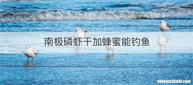 南极磷虾干加蜂蜜能钓鱼