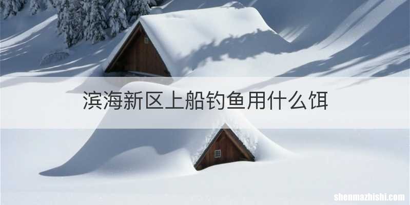 滨海新区上船钓鱼用什么饵