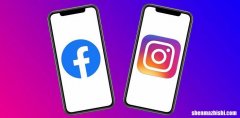 如何举报Facebook和Instagram上的冒充帐户