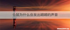 仓鼠为什么会发出嘚嘚的声音