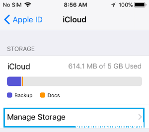 如何删除iPhone或iPad上的iCloud备份