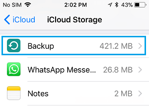 如何删除iPhone或iPad上的iCloud备份