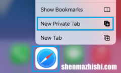 iPhone或iPad上缺少Safari私人浏览选项