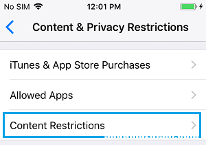 iPhone或iPad上缺少Safari私人浏览选项