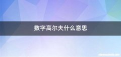 数字高尔夫什么意思