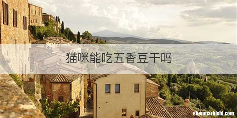 猫咪能吃五香豆干吗