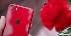 iphone SE3评测值得购入吗 苹果SE3配置参数详情