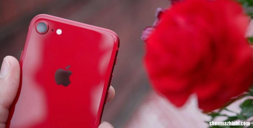 iphone SE3评测值得购入吗 苹果SE3配置参数详情