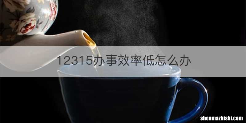 12315办事效率低怎么办