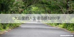 大山里的人生读后感1200字