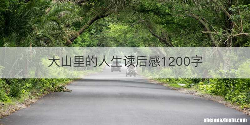 大山里的人生读后感1200字