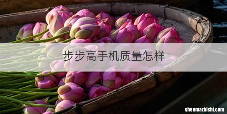 步步高手机质量怎样