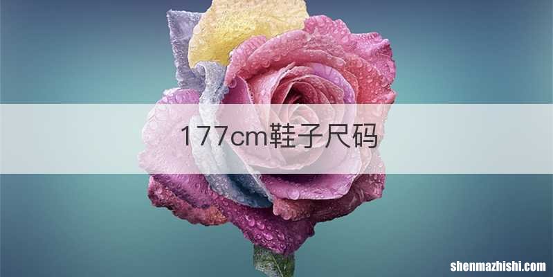 177cm鞋子尺码