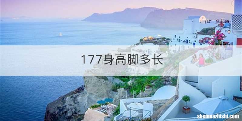 177身高脚多长