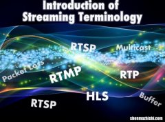 什么是UDP、TCP、单播、多播、RTP、RTSP、RTMP等