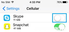 如何限制或阻止Skype在iPhone上使用蜂窝数据