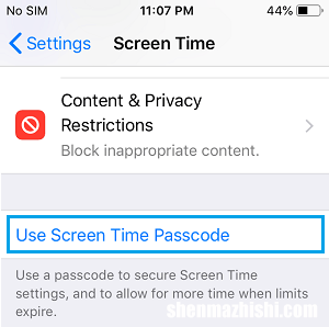 如何使用密码锁定iPhone上的应用程序