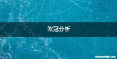 欧冠分析