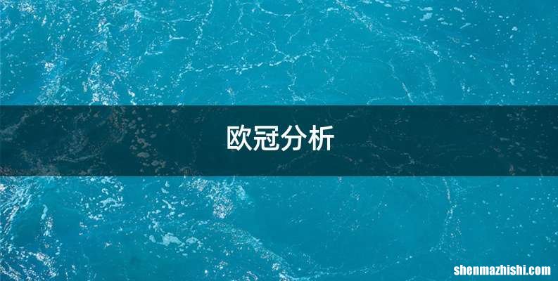 欧冠分析