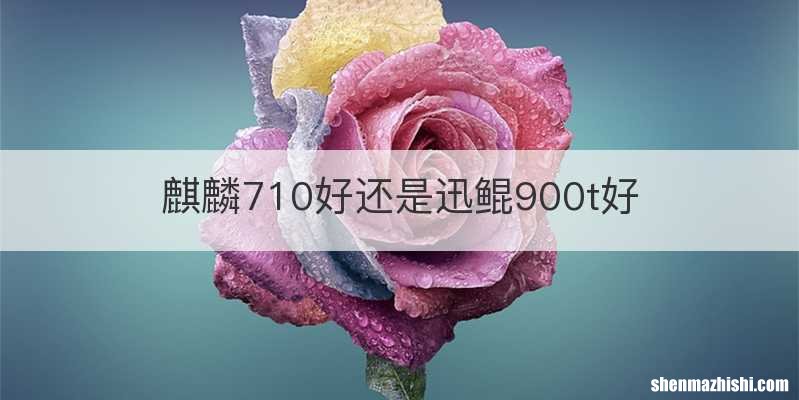 麒麟710好还是迅鲲900t好