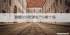 麒麟955和骁龙710哪个强