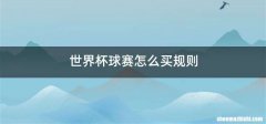 世界杯球赛怎么买规则