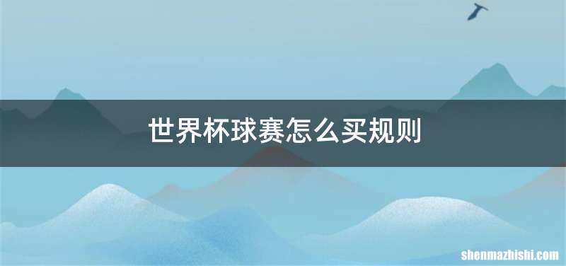 世界杯球赛怎么买规则