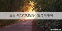 全自动洗衣机能洗不能甩嗡嗡响