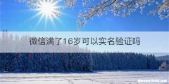 微信满了16岁可以实名验证吗