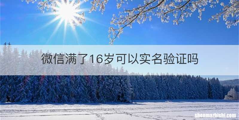 微信满了16岁可以实名验证吗