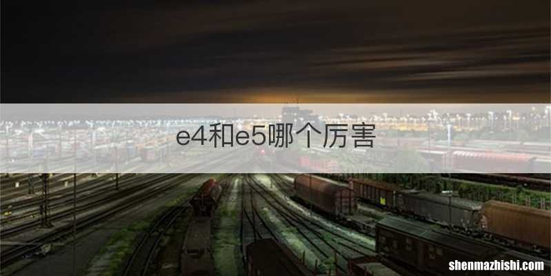 e4和e5哪个厉害