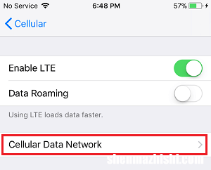 如何修复iPhone上的“无法激活蜂窝数据网络”错误