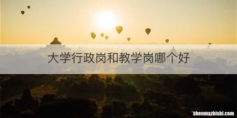 大学行政岗和教学岗哪个好