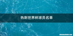 热刺世界杯球员名单